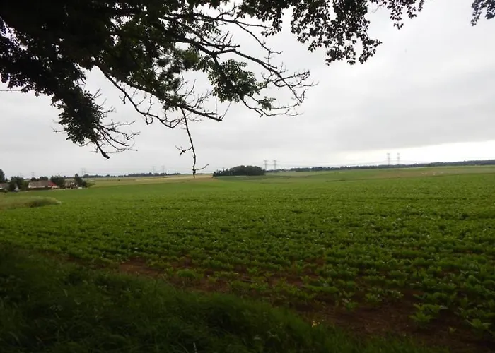 L'ancyze Parque de Campismo *